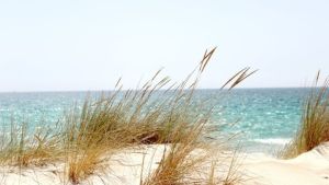 Καιρός αύριο: Αίθριος με τοπικά 5 μποφόρ για την Θεσσαλονίκη