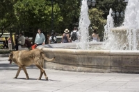 Κλιματιζόμενοι χώροι στην Αθήνα για τις ημέρες του μίνι καύσωνα