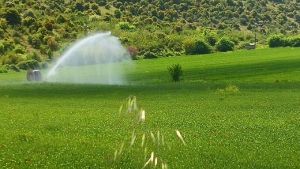 Συνέδριο ΚΕΔΕ: Νέες προοπτικές για τη διαχείριση αποβλήτων και νερού στην Ελλάδα