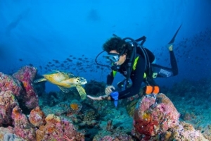 Νέα ρύθμιση για τα καταδυτικά πάρκα από το υπουργείο Περιβάλλοντος