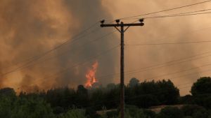 Χαλκιδική: Πέντε πύρινα μέτωπα – Μεγάλη κινητοποίηση πυροσβεστικής και εθελοντών (Vid)