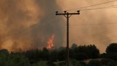 Χαλκιδική: Πέντε πύρινα μέτωπα – Μεγάλη κινητοποίηση πυροσβεστικής και εθελοντών (Vid)
