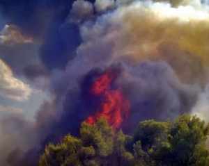 Δεκαετής ποινή κάθειρξης σε δύο κτηνοτρόφους για εμπρησμό