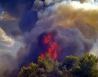 Δεκαετής ποινή κάθειρξης σε δύο κτηνοτρόφους για εμπρησμό