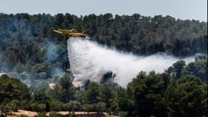 Καταλονία: Πυρκαγιά σε φυσικό δάσος (pic)