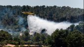 Καταλονία: Πυρκαγιά σε φυσικό δάσος (pic)