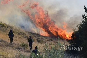 Σύλληψη για πυρκαγιά σε αγροτοδασική έκταση στη Γρίβα Κιλκίς