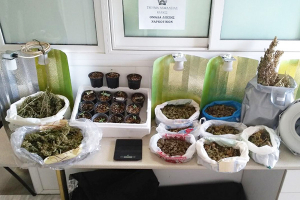 Από το Τμήμα Ασφάλειας Κιλκίς συνελήφθη στη Θεσσαλονίκη 27χρονος για καλλιέργεια και κατοχή κάνναβης