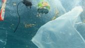 ΗΠΑ και Γαλλία ζητούν διεθνή συμφωνία για την καταπολέμηση των πλαστικών