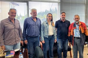 Στον ΔΕΔΔΗΕ του Κιλκίς βρέθηκε η βουλεύτρια Κιλκίς του ΣΥΡΙΖΑ-ΠΣ, Ειρήνη Αγαθοπούλου