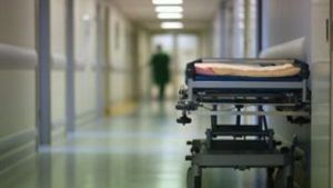 Θεσσαλονίκη: Επίθεση σκύλου σε ηλικιωμένη – Συνελήφθη ο ιδιοκτήτης του