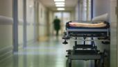 Θεσσαλονίκη: Επίθεση σκύλου σε ηλικιωμένη – Συνελήφθη ο ιδιοκτήτης του