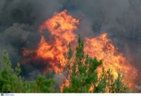 Πυρκαγιά σε αγροτοδασική έκταση στον Άγ. Κωνσταντίνο Φθιώτιδας