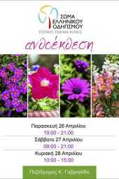 Ανθοέκθεση του Σώματος Ελληνικού Οδηγισμού στο Κιλκίς
