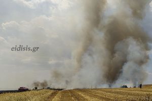 Νέα σύλληψη αγρότη από την Πυροσβεστική Κιλκίς για πυρκαγιά σε αγροτική έκταση