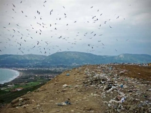 Μια «ανάσα» για την καρέτα καρέτα στη Ζάκυνθο