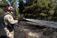 Πυρκαγιά σε δασική έκταση στο Πικέρμι