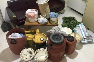 Κτηνοτρόφος έκρυβε χασισοφυτεία και 19 κιλά κάνναβης σε μαντρί με ζώα