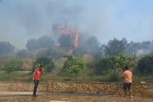 Σε εξέλιξη πυρκαγιά σε δασική έκταση στο Ακόντιο Βοιωτίας