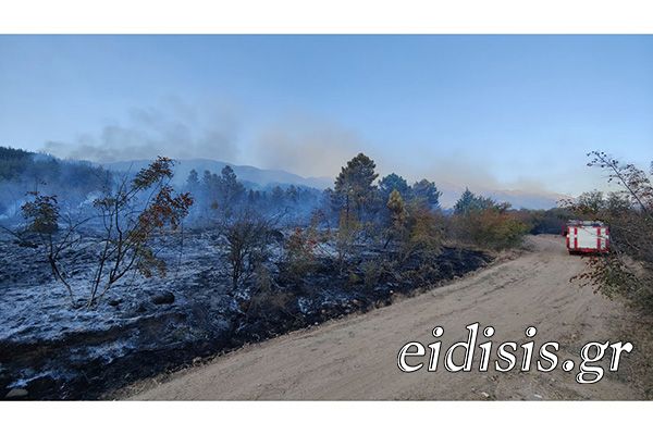 Συναγερμός σήμανε στις αρχές μετά από φωτιά σε αγροτοδασική έκταση στην περιοχή Καβαλλάρη Κιλκίς