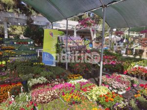 Θεσσαλονίκη: Ο παράδεισος των λουλουδιών θα βρίσκεται στην Καλαμαριά για λίγες μέρες (pics)