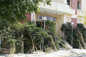 Συνελήφθη 35χρονος από αστυνομικούς του Αστυνομικού Τμήματος Παιονίας για καλλιέργεια κάνναβης