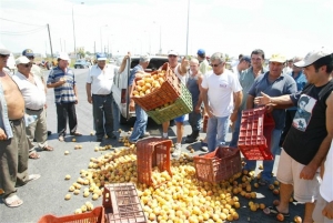 Κινητοποίηση ροδακινοπαραγωγών στην Βέροια