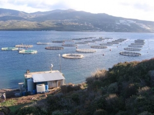 Κομισιόν: «Ξεκλείδωσαν» ενισχύσεις 388,7 εκατ. ευρώ για την αλιεία