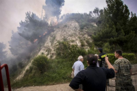 Ηλεία: Σοβαρές οι ζημιές σε ελαιόδεντρα από τις πυρκαγιές