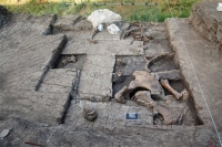 Παλαιολιθικό «σφαγείο ελεφάντων» αποκαλύφθηκε στο λιγνιτωρυχείο Μεγαλόπολης