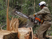 Ολοκληρώνεται επιτυχώς η διαδικασία κύρωσης των δασικών χαρτών στο Δασαρχείο Κιλκίς