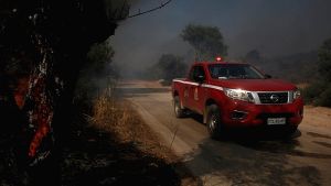 Φωτιά στην αγροτοδασική έκταση της Δοϊράνης – Συναγερμός μέσω του 112