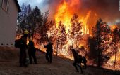 Εκτός ελέγχου η πυρκαγιά στο πάρκο Γιοσέμιτι της Καλιφόρνια – Απειλούνται οι γιγάντιες σεκόγιες