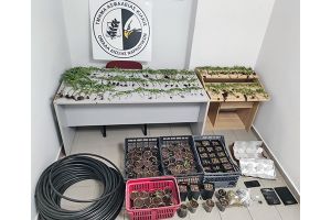 Αστυνομικοί της Ασφάλειας Κιλκίς ξερίζωσαν μεγάλη φυτεία κάνναβης σε αγροτική περιοχή της Θεσσαλονίκης