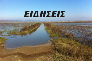 Ταμιευτήρας, αντλίες και βροχές καταστρέφουν το Βαφειοχώρι