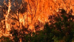 Πυρκαγιές: Υψηλός κίνδυνος σε Θεσσαλονίκη, Χαλκιδική και Έβρο