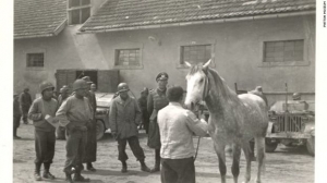 «Απελευθερώστε τα καθαρόαιμα του Χίτλερ»