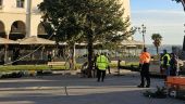 Φωταγώγηση και εορταστικός στολισμός στην Αριστοτέλους: Το χριστουγεννιάτικο δέντρο έφτασε στη Θεσσαλονίκη