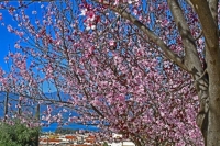 Γενικά αίθριος ο καιρός το Πάσχα