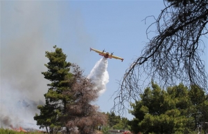 Μεγάλη πυρκαγιά μαίνεται στην κεντρική Κέρκυρα