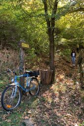 Μικρόδασος: Καθάρισαν και είναι λειτουργικό το μονοπάτι στον Αξιό ποταμό