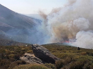 Κρήτη: Φωτιά σε δύσβατη περιοχή κοντά στο Ελαφονήσι