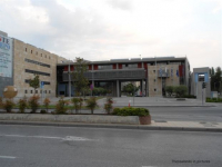 Γαμπρούς και νύφες ζητούν οι δημότες από τους δημάρχους