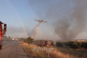 Στην κτηνοτροφική μονάδα η μάχη με την φωτιά - Κάηκαν και ζώα
