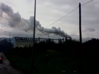 Τους βγάζουν το λάδι από τη ρύπανση