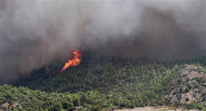 Εύβοια: Πυρκαγιά σε δασική έκταση κοντά στην Κάρυστο