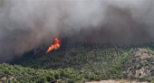 Εύβοια: Πυρκαγιά σε δασική έκταση κοντά στην Κάρυστο