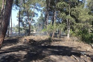 Πυρκαγιά κοντά στο Τελωνείο Ευζώνων και στο οδικό δίκτυο της ΠΑΘΕ