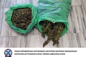 Σύλληψη ατόμου από Αστυνομικούς του Κιλκίς στην Πέλλα για κατοχή κάνναβης