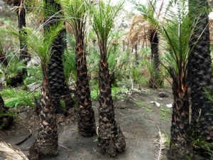 «Κλείδωσαν» οι νέοι γραμματείς Χωρικού Σχεδιασμού και Υδάτων